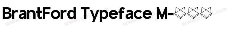 BrantFord Typeface M字体转换